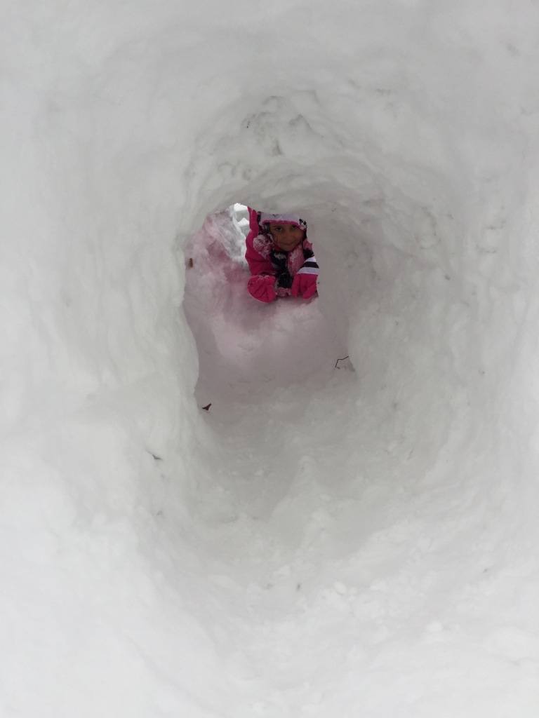 One of my little guys during the nationally-covered November storm. This picture was taken the first time we could physically get out of our front in a week.